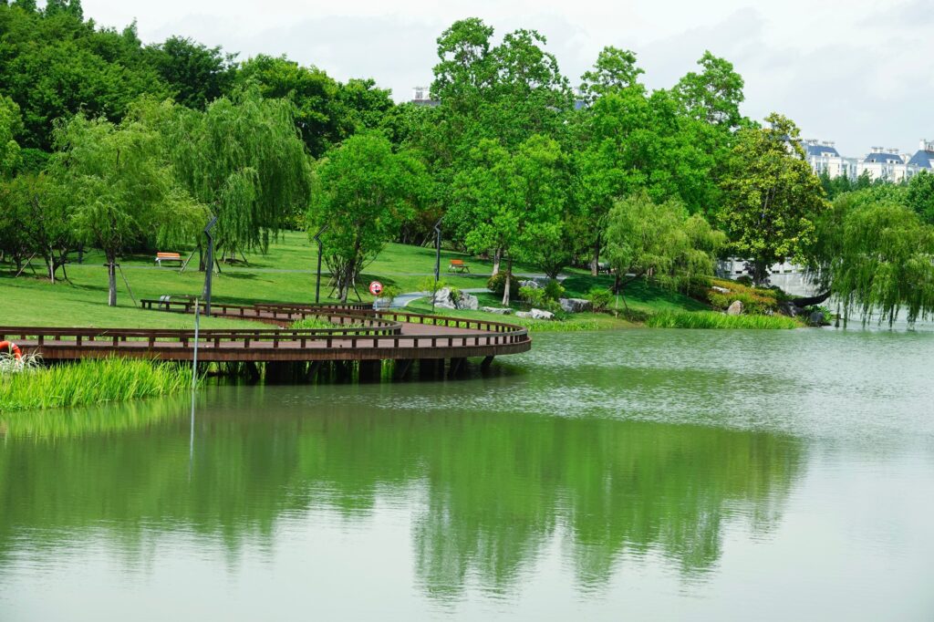 tropical garden in thailand